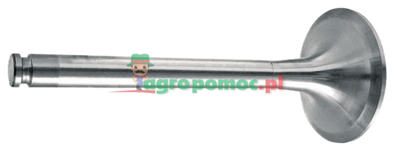 Zawór ssący | 4420500526 | zdjęcie nr 1