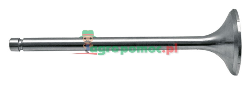 Zawór ssący | 131100050014 | zdjęcie nr 1