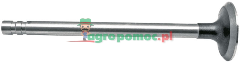 Zawór wydechowy | 87802262, 87802143 | zdjęcie nr 1