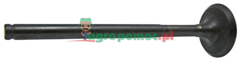 Zawór wydechowy | 0.039.1421.0 | zdjęcie nr 1