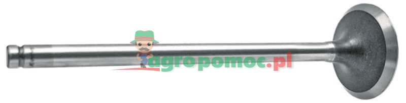 Zawór wydechowy | 0.071.1420.2 | zdjęcie nr 1