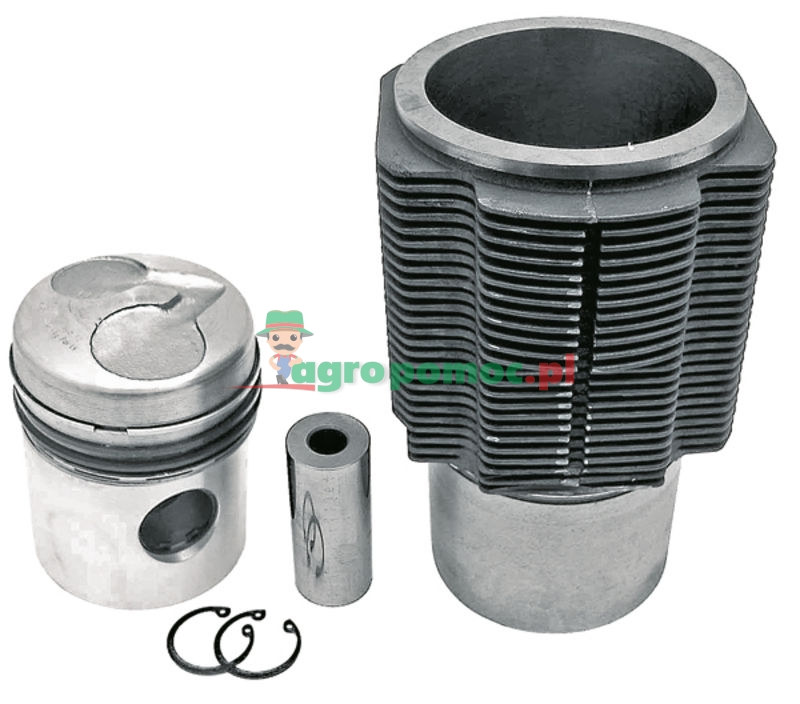 Zestaw naprawczy silnika | 02910303 | zdjęcie nr 1