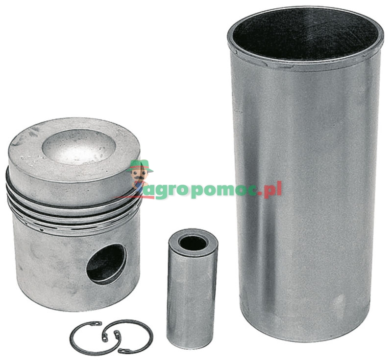 Zestaw naprawczy silnika | 740082M91 + 745764M91 | zdjęcie nr 1