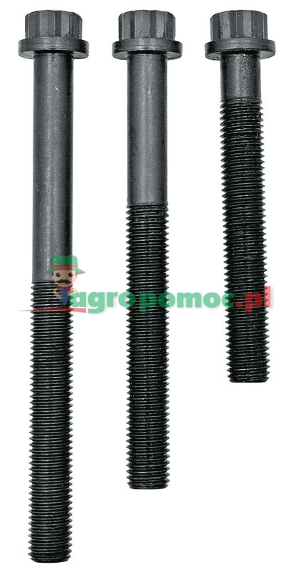 Zestaw śrub głowicy | 20080342213 | zdjęcie nr 1