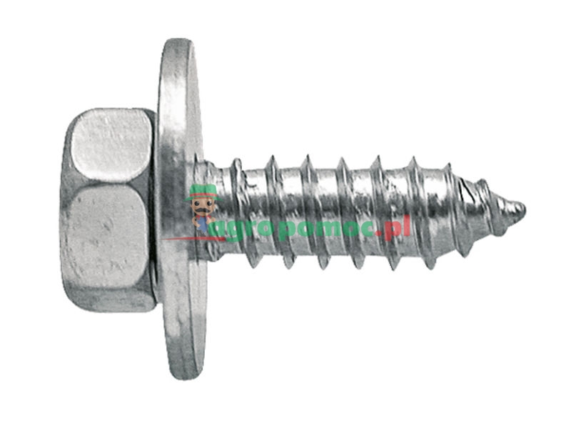 Blachowkręty | zdjęcie nr 1