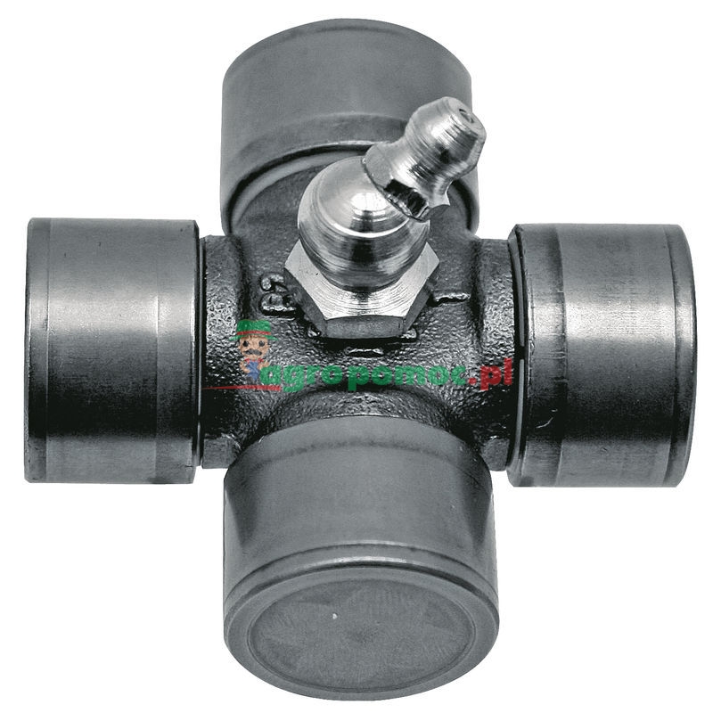 Bondioli Krzyżak | zdjęcie nr 1