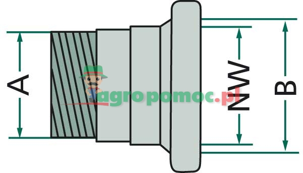 Gniazdo | zdjęcie nr 2
