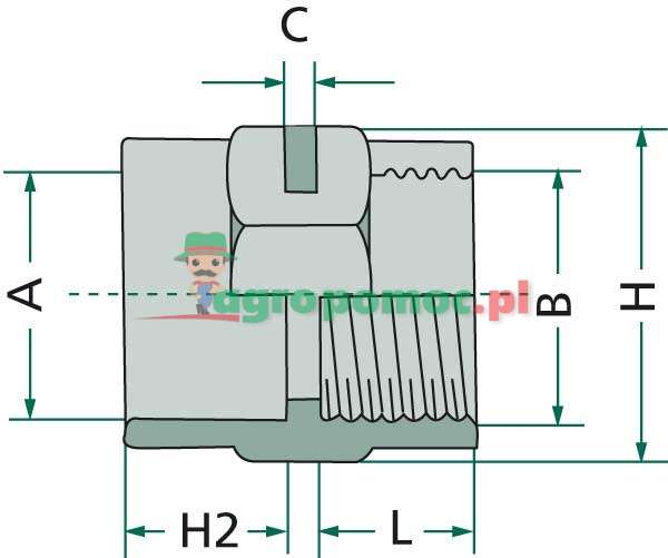 Mufa klejona | zdjęcie nr 2