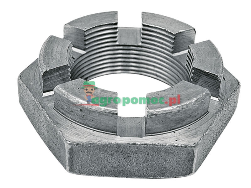 Nakrętka koronowa | 3030193 | zdjęcie nr 1