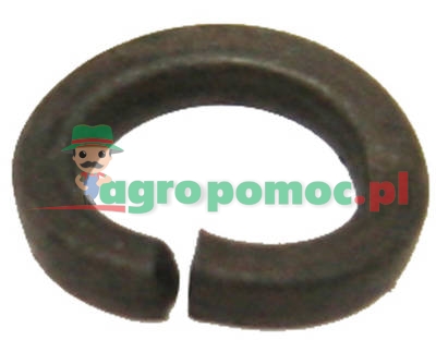 Pierścień sprężysty | zdjęcie nr 1