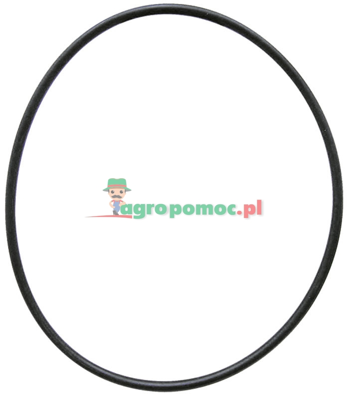 RIV Oring | zdjęcie nr 1