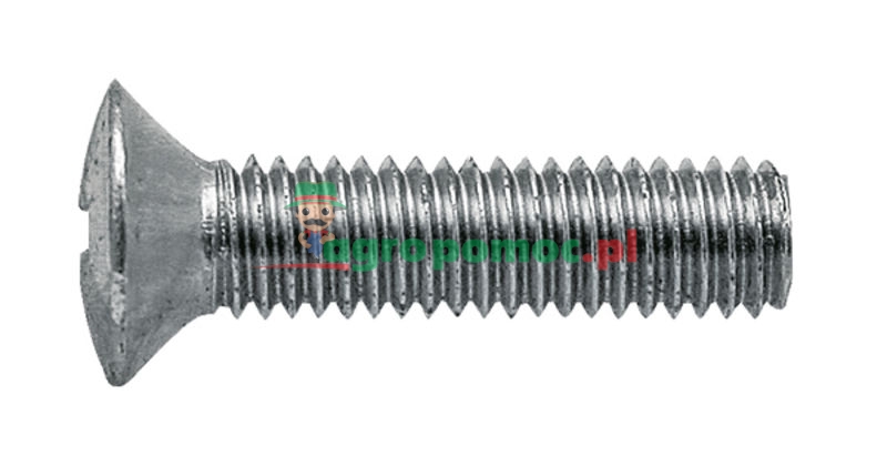Śruba z łbem stożkowym soczewkowym | zdjęcie nr 1