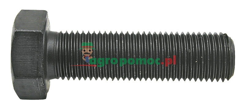 Śruba z łbem sześciokątnym | 00360281 | zdjęcie nr 1