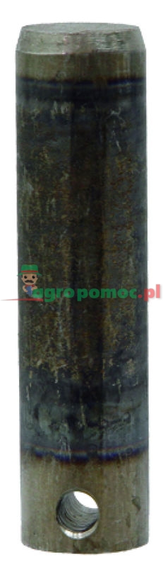 Sworzeń | 0130060 | zdjęcie nr 1