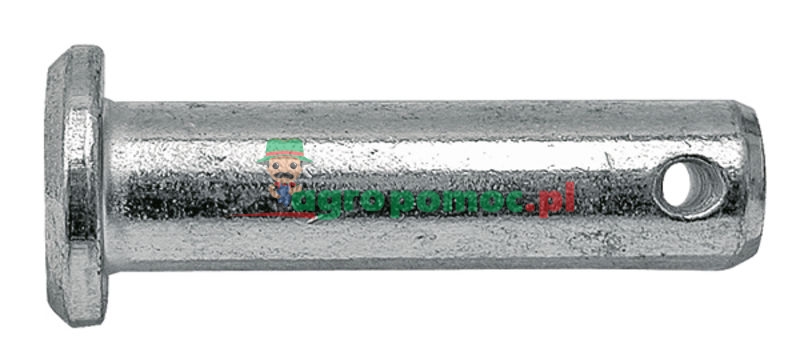 Sworzeń | zdjęcie nr 1