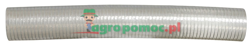 Wąż | zdjęcie nr 1