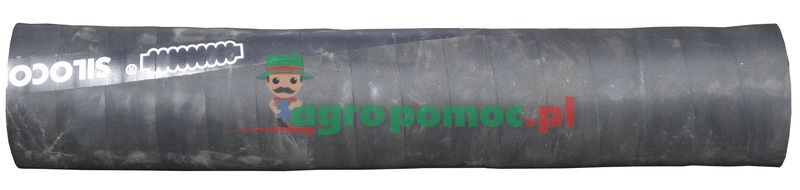 Wąż | zdjęcie nr 1