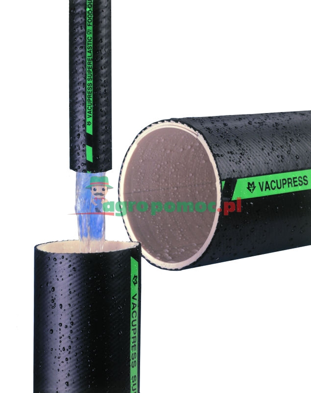 Wąż | zdjęcie nr 1