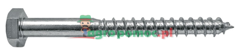 Wkręt do drewna | zdjęcie nr 1