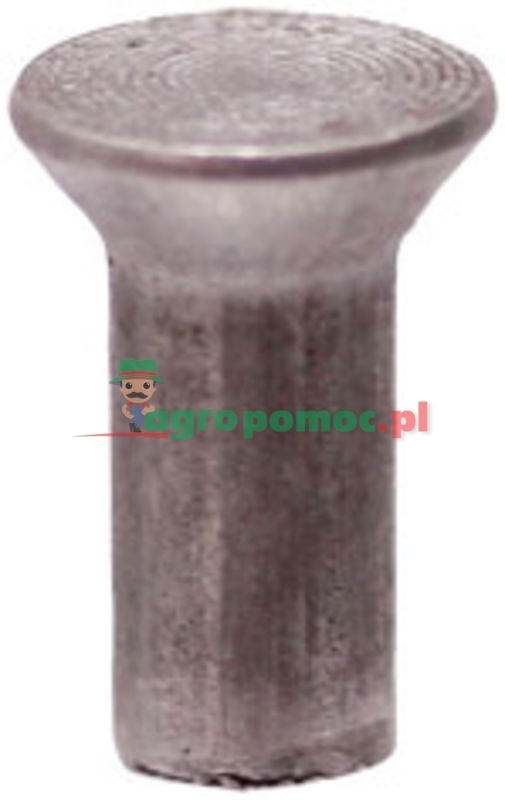 ESM Nity | 3231981 | zdjęcie nr 1