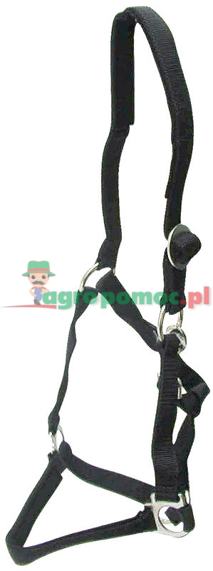 Kantar | zdjęcie nr 1