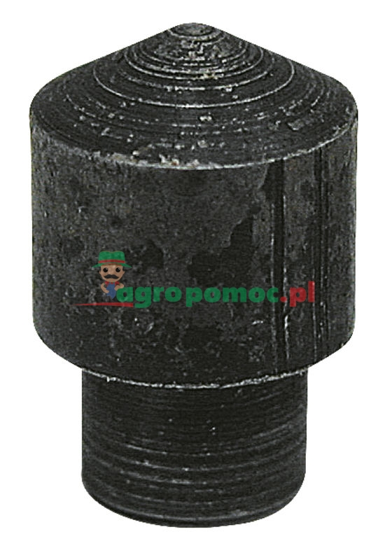 Krzywka | 9573.0052 | zdjęcie nr 1