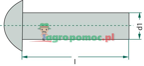Nity z łbem kulistym | S14722 | zdjęcie nr 2