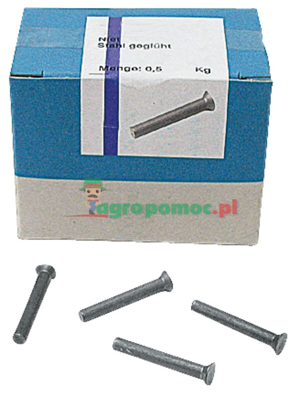 Nity z łbem wpuszczanym | 657241 | zdjęcie nr 1