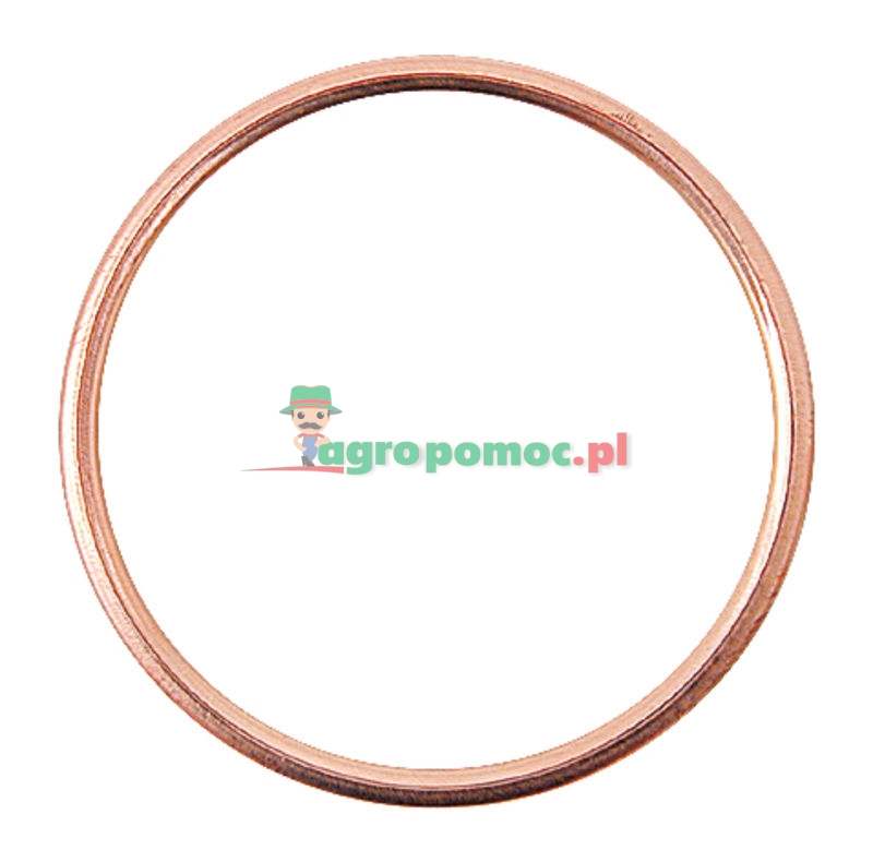 Pierścień uszczelniający wypełniający | zdjęcie nr 1