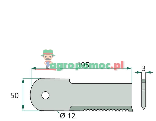 Rasspe Stalnica | Z55611 | zdjęcie nr 2