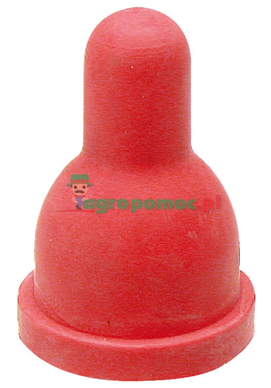 Smoczek zapasowy | zdjęcie nr 1