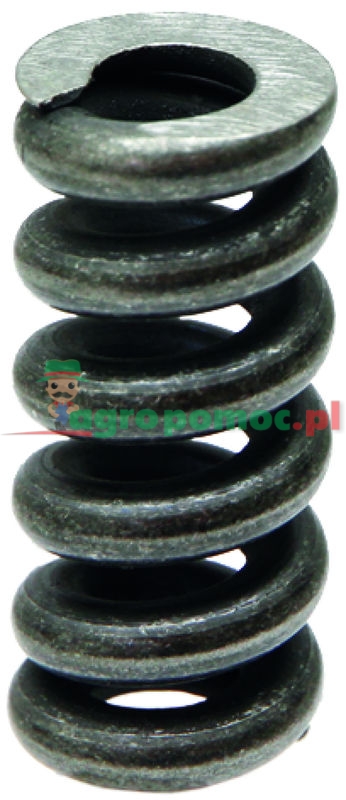 Sprężyna dociskowa | 16014411 | zdjęcie nr 1