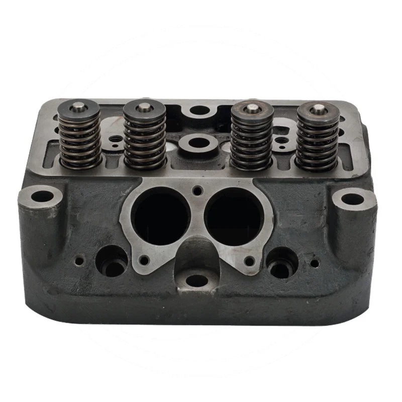 Głowica silnika komplet z zaworami | 42.02.202.0 | zdjęcie nr 1