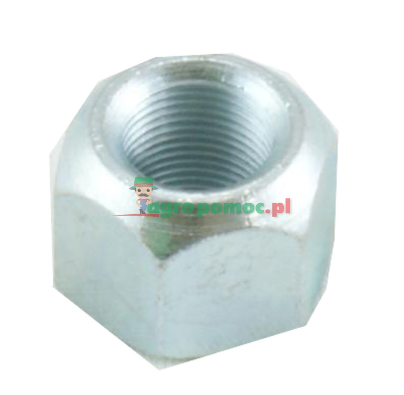 AGTECH Nakrętka śruby koła D-50 M20x1,5 | 7030050120 | zdjęcie nr 1