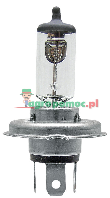 AGTECH Żarówka halogenowa H4 12V 60/55W nowy typ bez kołnierza | 12V 60/55W P 43T | zdjęcie nr 1