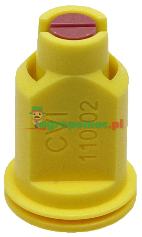 Albuz Dysza | CVI80-02 | zdjęcie nr 1