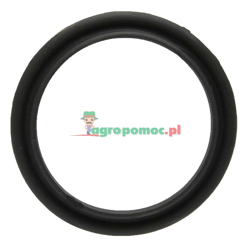 HARDI Uszczelka | 334260 | zdjęcie nr 1