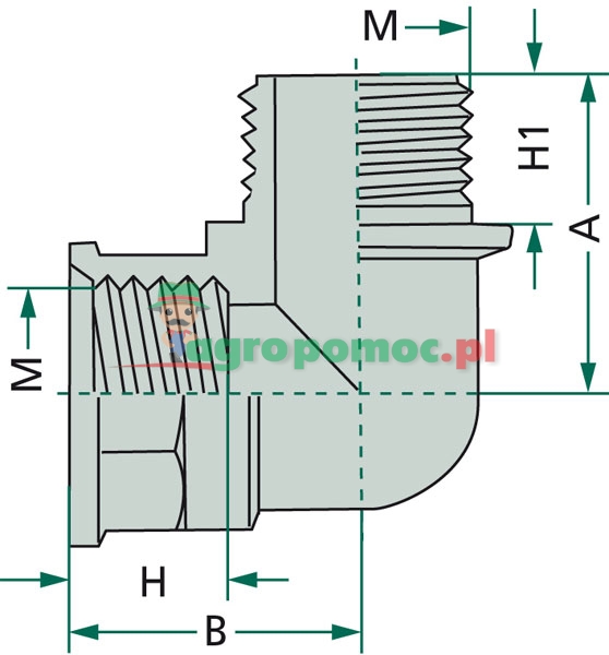 Kolanko | zdjęcie nr 2