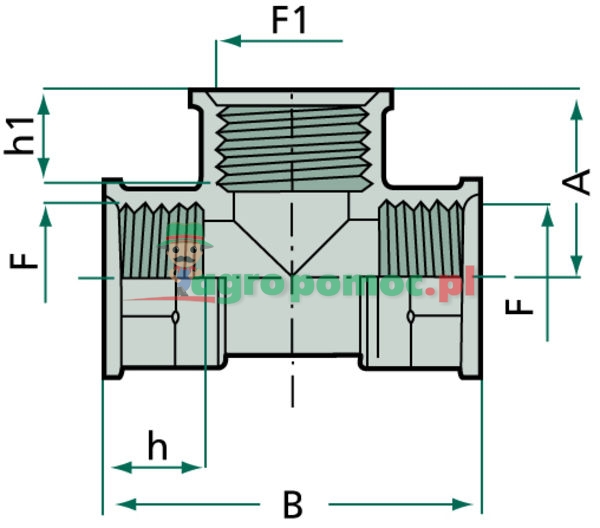 Trójnik | zdjęcie nr 2
