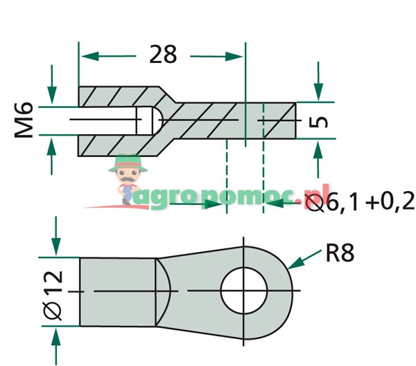 Ucho | zdjęcie nr 2