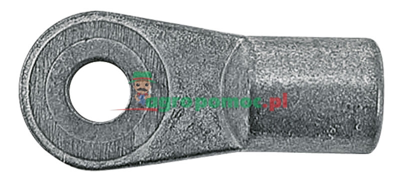 Ucho | zdjęcie nr 1