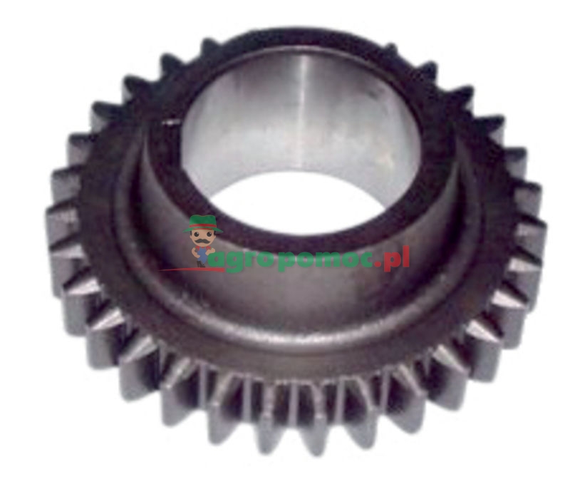 Ursus Koło II biegu | 50.41.966.1 | zdjęcie nr 1