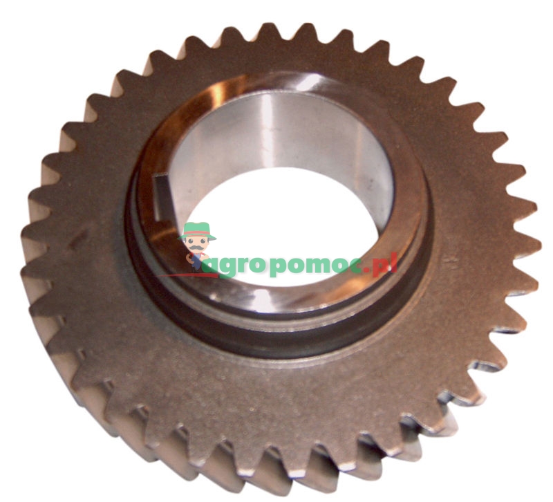 Ursus Koło napędzane III biegu 36 zębów skośnych | 80.121.007 / 87.123.004 / 84.123.501 | zdjęcie nr 1