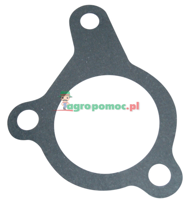 Ursus Uszczelka wlewu | 80002064 | zdjęcie nr 1