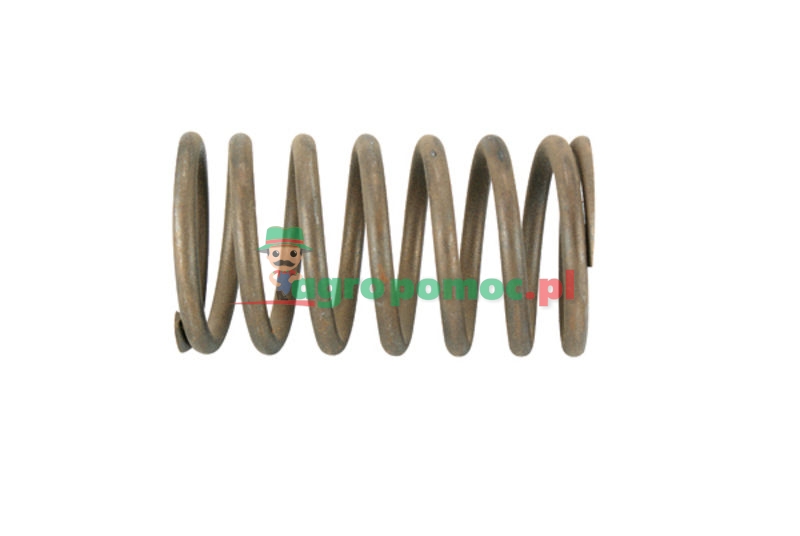 Zetor Sprężyna blokady | 5911 2518 | zdjęcie nr 1