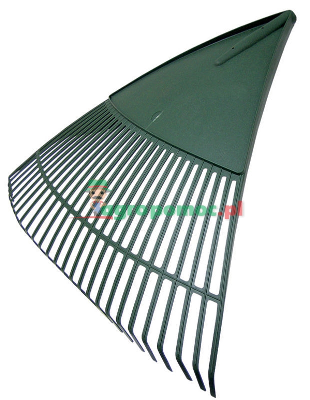 Grabie wachlarzowe | zdjęcie nr 1