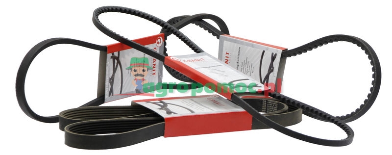 Pas klinowy rowkowany | R95924 | zdjęcie nr 1