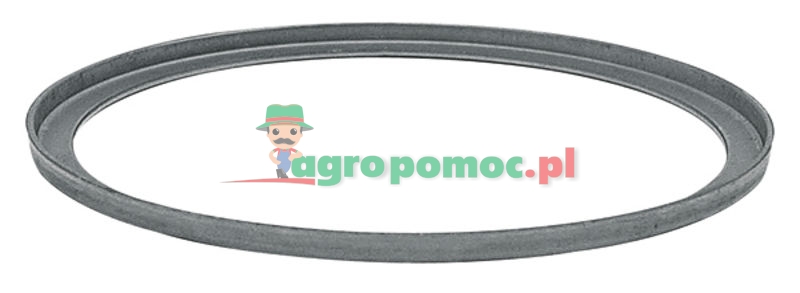 Pierścień obrotowy | 1810654M91, 1810029M91, 1850218M1 | zdjęcie nr 1