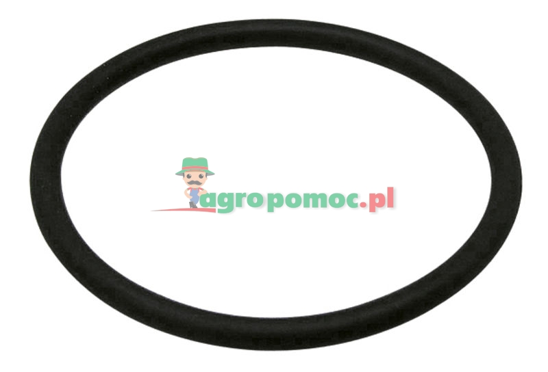 Pierścień uszczelniający | 13809340025 | zdjęcie nr 1