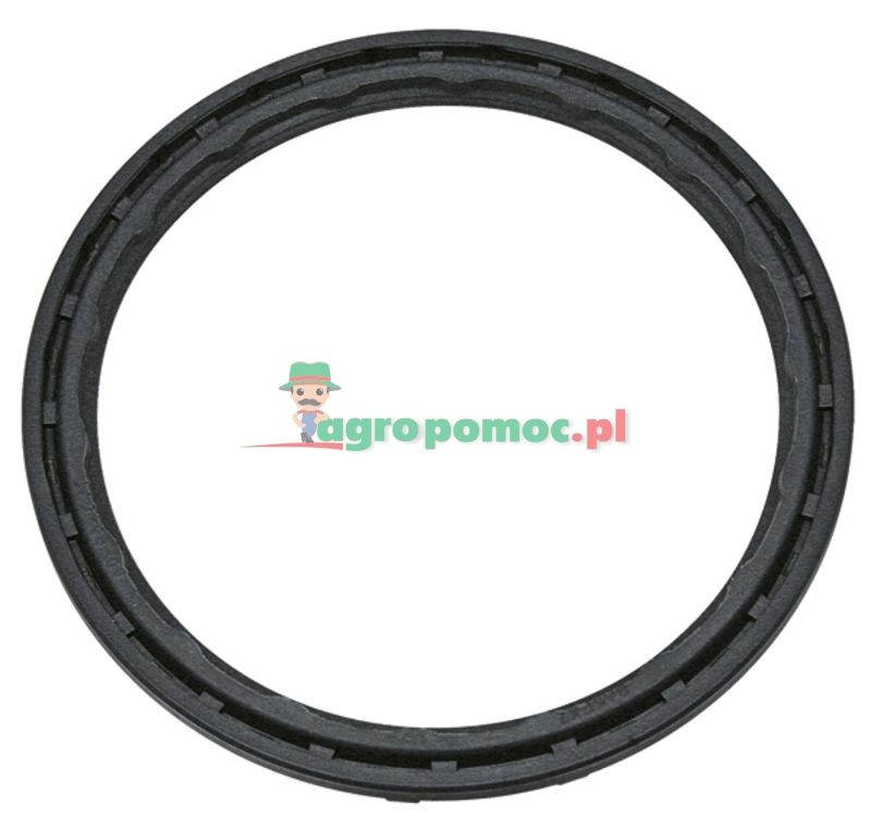 Pierścień uszczelniający | 6000105452 | zdjęcie nr 1